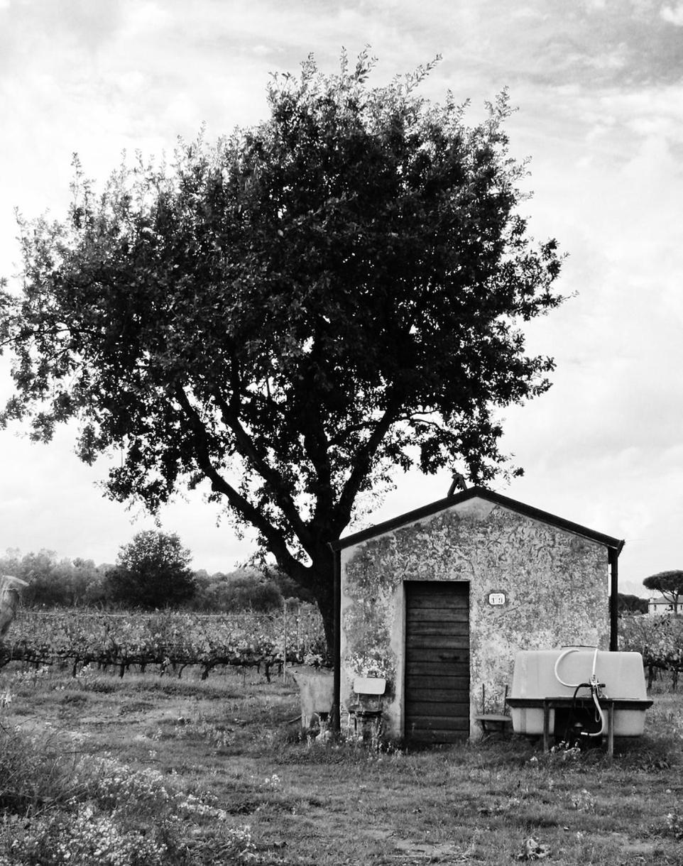 La Cipriana Vila Castagneto Carducci Exterior foto